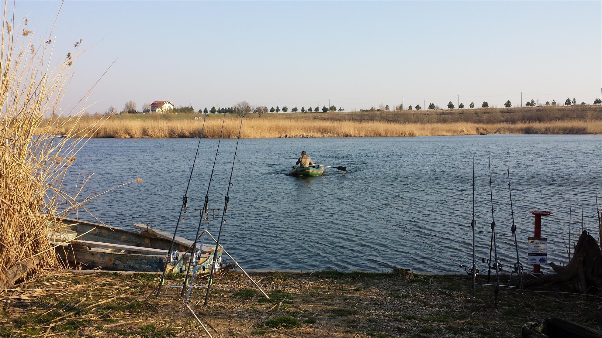 Tancabesti 14 - 16 mar. - 2014-03-14-1627101.jpg